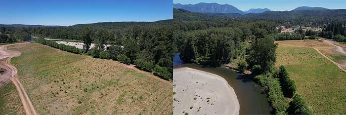 Drone photo showing a view of the Snoqualmie River at the Barfuse Levee Site.