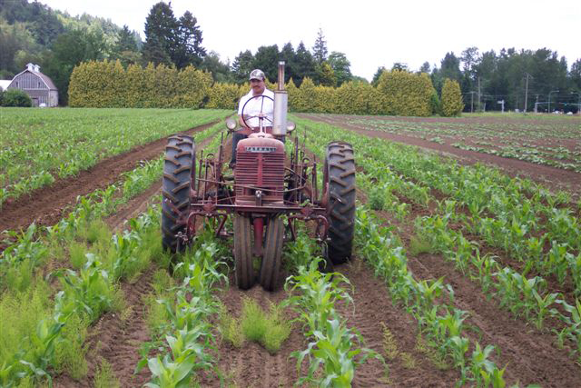 Scholz Farm