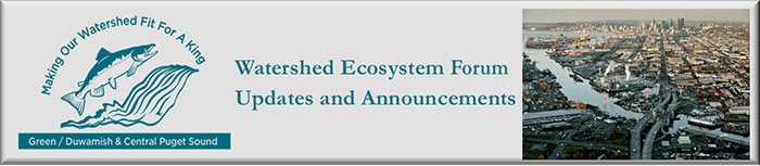 image of river and WRIA 9 logo of a salmon